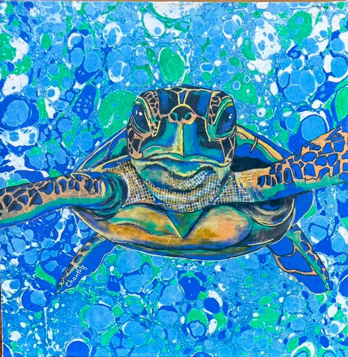 Incredible Sea Journey