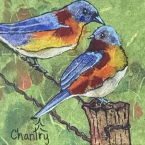 Two Little Blue Birds